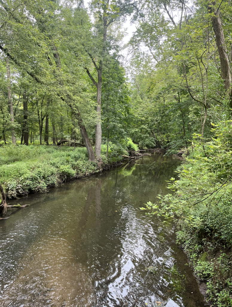Tenakill Brook flowing through the preserve