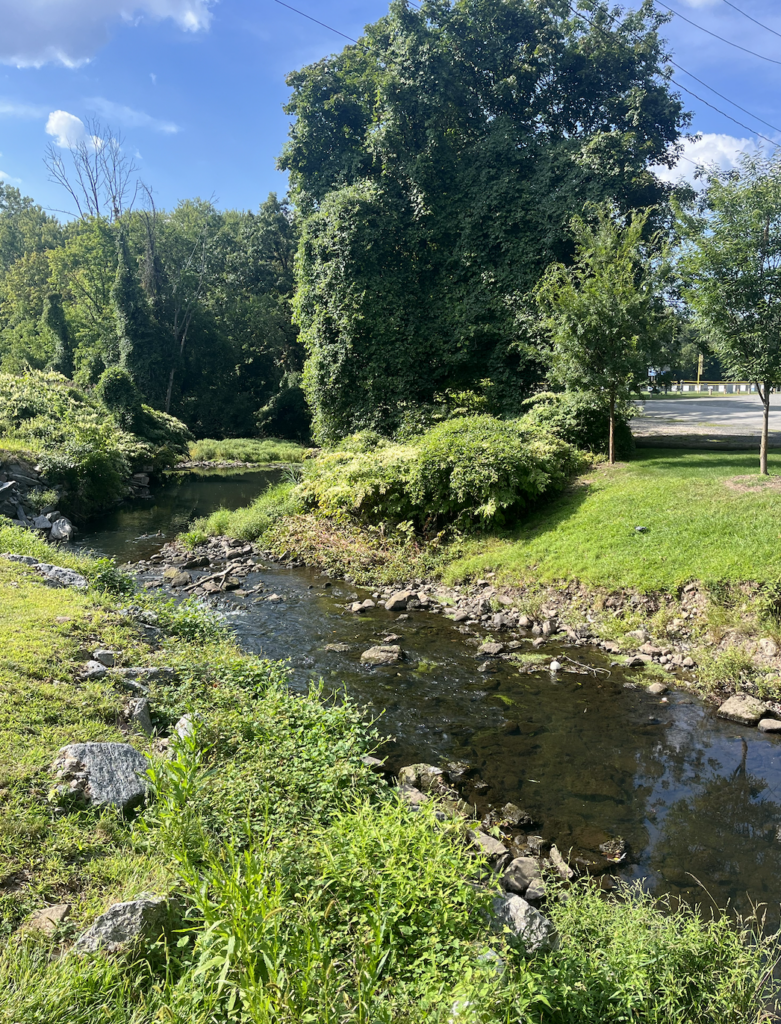 Brook in sunny meadow area